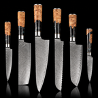 67-Layer VG10 Japanese Damascus Steel 6-Piece Knife Set – Black Resin Handle
