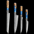 67-Layer VG10 Japanese Damascus Steel 4-Piece Knife Set – Blue Resin Handle