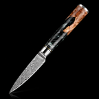67-Layer VG10 Japanese Damascus Steel 3-Piece Knife Set – Black Resin Handle