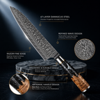67-Layer VG10 Japanese Damascus Steel 3-Piece Knife Set – Black Resin Handle