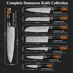 67-Layer VG10 Japanese Damascus Steel 3-Piece Knife Set – Black Resin Handle