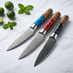 67-Layer VG10 Japanese Damascus Steel Paring Knife – Premium Resin Handle
