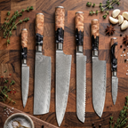 67-Layer VG10 Japanese Damascus Steel 6-Piece Knife Set – Black Resin Handle