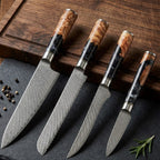 67-Layer VG10 Japanese Damascus Steel 4-Piece Knife Set – Black Resin Handle